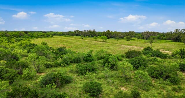 9803  Fm 1796, Dhanis, TX 78850 — photo 7