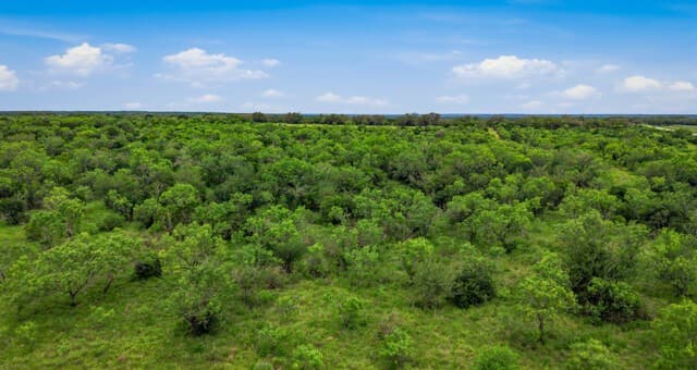 9803  Fm 1796, Dhanis, TX 78850 — photo 9