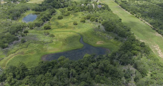 TRACT A 15970  Shepherd Rd, Atascosa, TX 78002 — photo 15