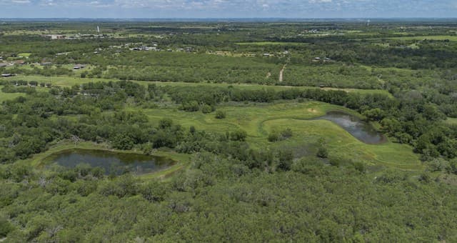 TRACT A 15970  Shepherd Rd, Atascosa, TX 78002 — photo 18
