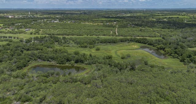 TRACT A 15970  Shepherd Rd, Atascosa, TX 78002 — photo 19