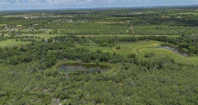 TRACT A 15970  Shepherd Rd, Atascosa, TX 78002 — photo 20