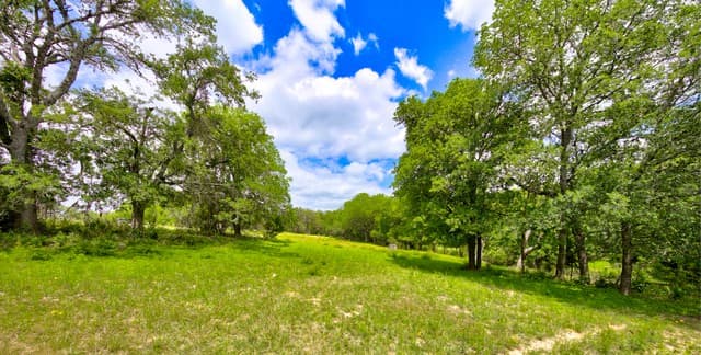 104  Oak Acres Ln, Boerne, TX 78006 — photo 10