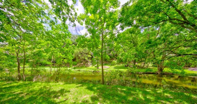 104  Oak Acres Ln, Boerne, TX 78006 — photo 11