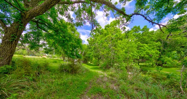 104  Oak Acres Ln, Boerne, TX 78006 — photo 3