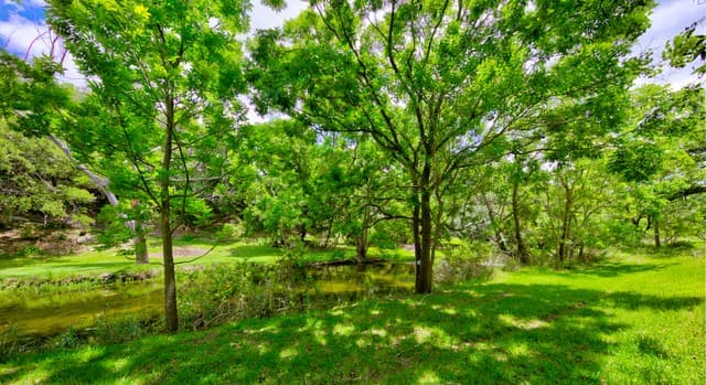 104  Oak Acres Ln, Boerne, TX 78006 — photo 5
