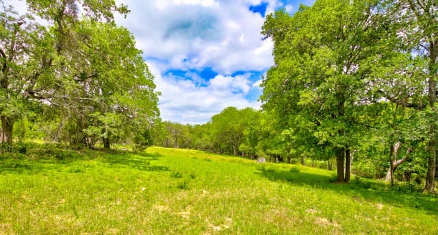 104  Oak Acres Ln, Boerne, TX 78006 — photo 9