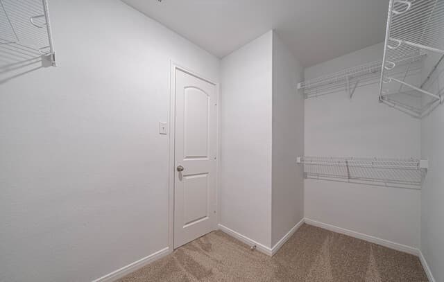 11803 Claudette, San Antonio, TX 78252 — photo 21