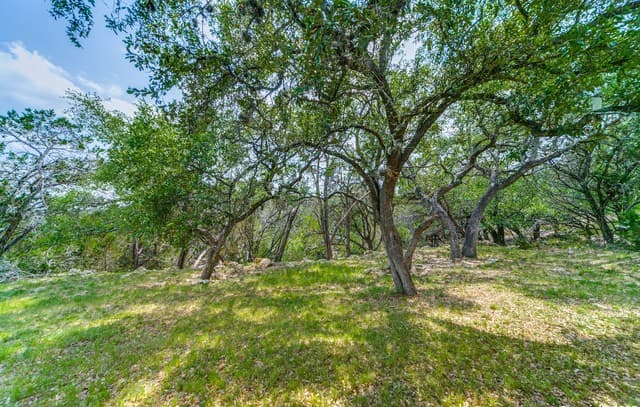 356  Warbler, Spring Branch, TX 78070 — photo 23