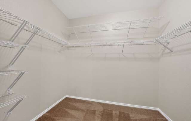 24919  Terlingua Bnd, San Antonio, TX 78261 — photo 20