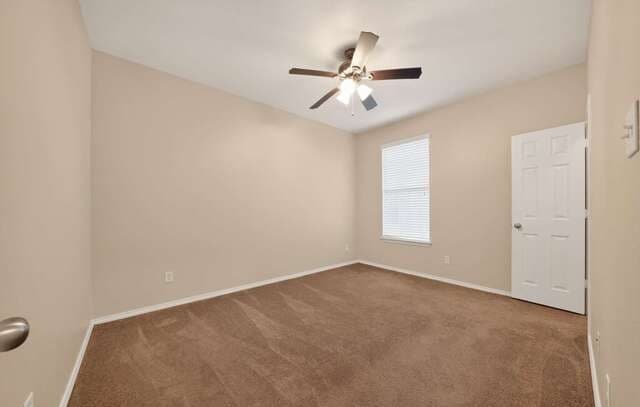 24919  Terlingua Bnd, San Antonio, TX 78261 — photo 8