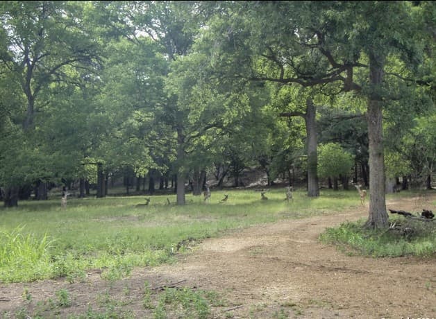714  Caballo Trl, Canyon Lake, TX 78133 — photo 16
