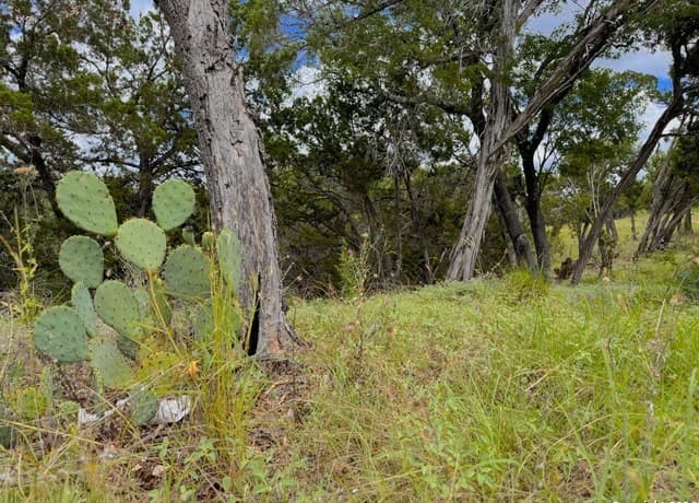 714  Caballo Trl, Canyon Lake, TX 78133 — photo 7