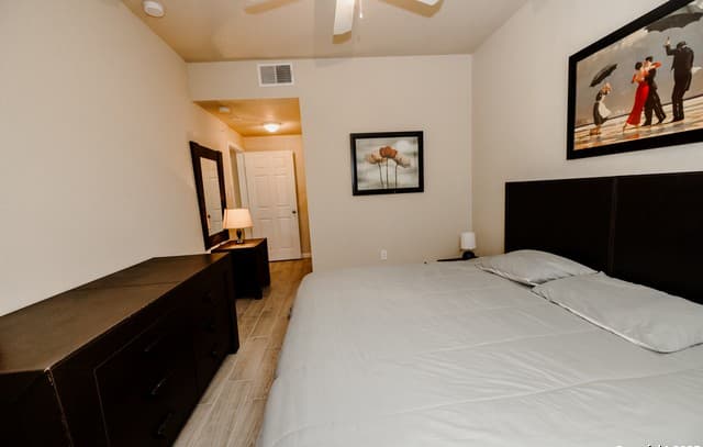 6160  Eckhert Rd Unit APT 1711, San Antonio, TX 78240 — photo 15