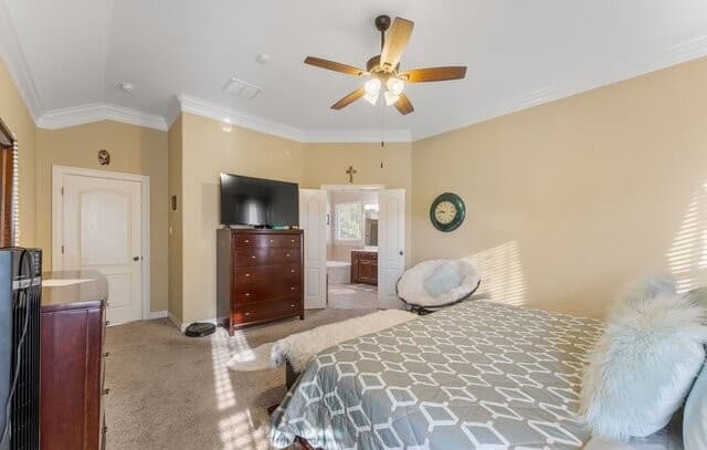 21719  Eden Rose Hill, San Antonio, TX 78256 — photo 23