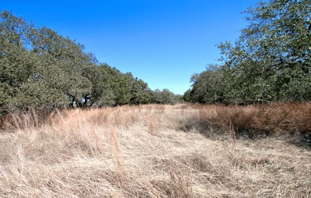 823  Mystic Pkwy, Spring Branch, TX 78070 — photo 7