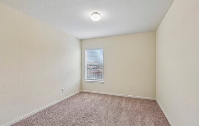 6640  Rosenthal Pass, San Antonio, TX 78252 — photo 14