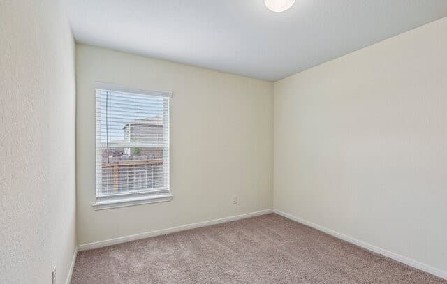 6640  Rosenthal Pass, San Antonio, TX 78252 — photo 15