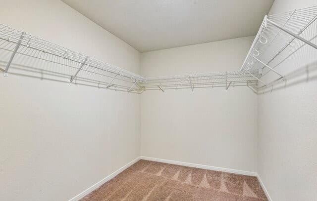 6640  Rosenthal Pass, San Antonio, TX 78252 — photo 17