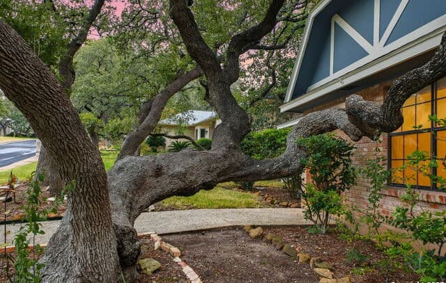 13123  Hunters Spring St, San Antonio, TX 78230 — photo 4