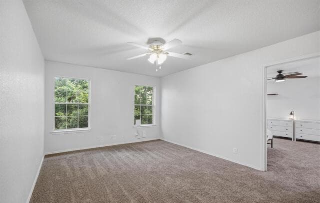 11003  Andover Peak, San Antonio, TX 78254 — photo 13