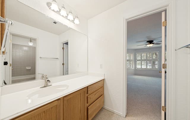 4501  Ridge Peak Dr, Schertz, TX 78154 — photo 10