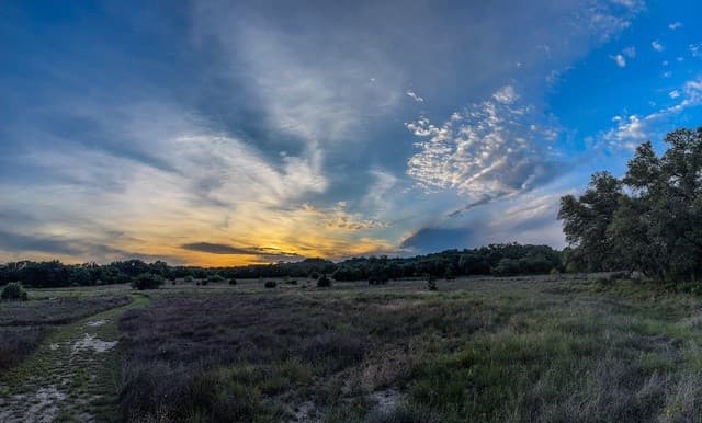 3513 N Us Highway 281, Blanco, TX 78606 — photo 13