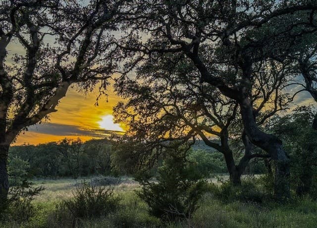 3513 N Us Highway 281, Blanco, TX 78606 — photo 14