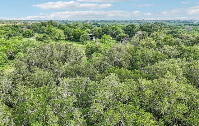 1617  Blue Creek Rd, La Vernia, TX 78121 — photo 15