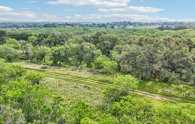 1617  Blue Creek Rd, La Vernia, TX 78121 — photo 16