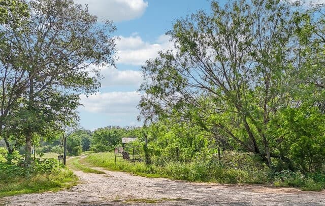 1617  Blue Creek Rd, La Vernia, TX 78121 — photo 6