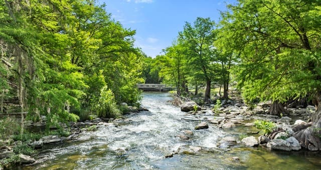 1242  Ervendberg Ave - Lot 2, New Braunfels, TX 78130