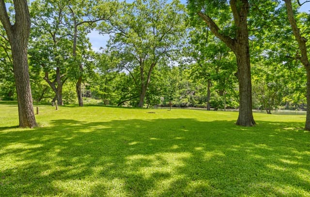 1242  Ervendberg Ave - Lot 2, New Braunfels, TX 78130 — photo 10