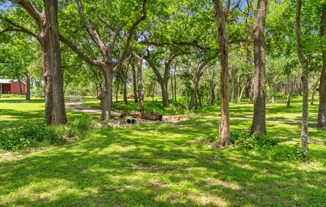 1242  Ervendberg Ave - Lot 2, New Braunfels, TX 78130 — photo 11