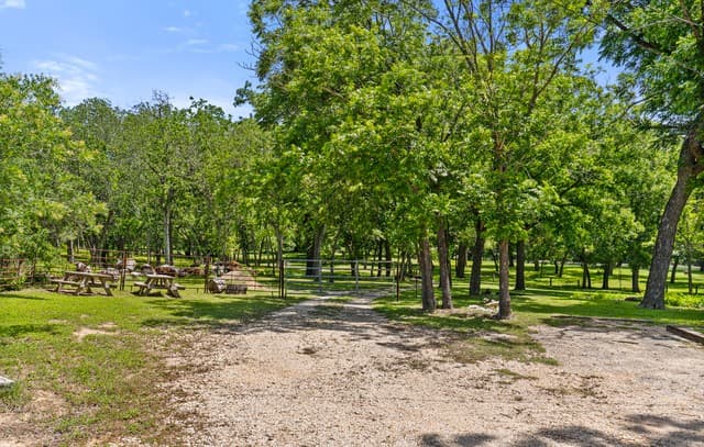 1242  Ervendberg Ave - Lot 2, New Braunfels, TX 78130 — photo 12