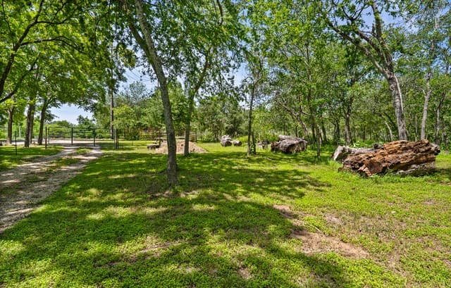 1242  Ervendberg Ave - Lot 2, New Braunfels, TX 78130 — photo 13