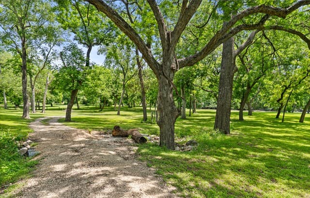 1242  Ervendberg Ave - Lot 2, New Braunfels, TX 78130 — photo 14