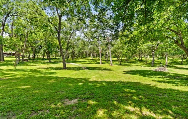 1242  Ervendberg Ave - Lot 2, New Braunfels, TX 78130 — photo 17