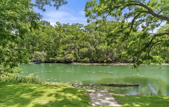 1242  Ervendberg Ave - Lot 2, New Braunfels, TX 78130 — photo 5