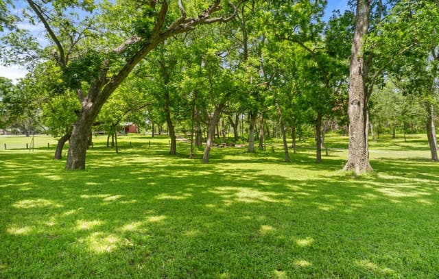 1242  Ervendberg Ave - Lot 2, New Braunfels, TX 78130 — photo 8