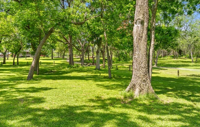 1242  Ervendberg Ave - Lot 2, New Braunfels, TX 78130 — photo 9
