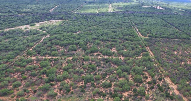 0  Cr 345, Charlotte, TX 78011 — photo 2