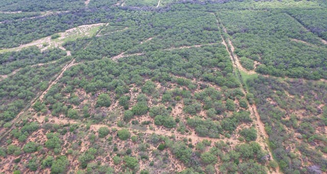 0  Cr 345, Charlotte, TX 78011 — photo 3