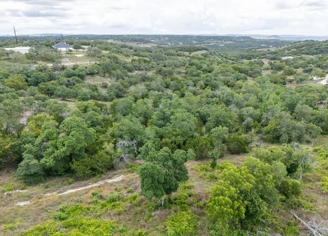 130  Falling Leaves Ct, Blanco, TX 78606 — photo 11