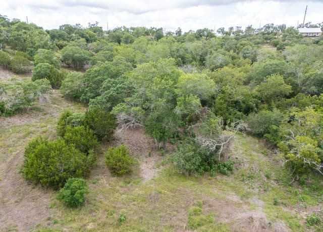 130  Falling Leaves Ct, Blanco, TX 78606 — photo 16