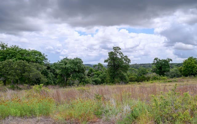 130  Falling Leaves Ct, Blanco, TX 78606 — photo 18