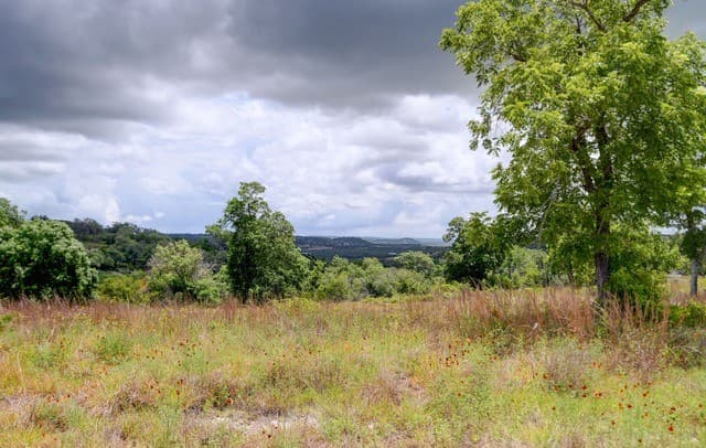 130  Falling Leaves Ct, Blanco, TX 78606 — photo 21
