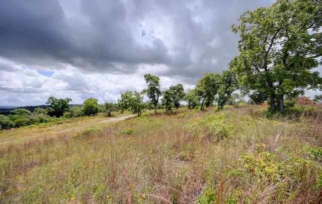 130  Falling Leaves Ct, Blanco, TX 78606 — photo 23