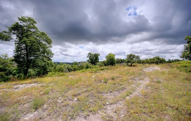 130  Falling Leaves Ct, Blanco, TX 78606 — photo 24