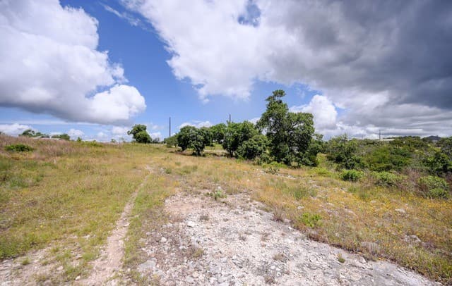 130  Falling Leaves Ct, Blanco, TX 78606 — photo 25